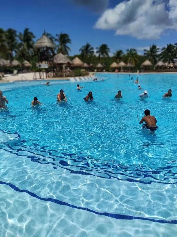 Palm-lined swimming pool at a coastal resort